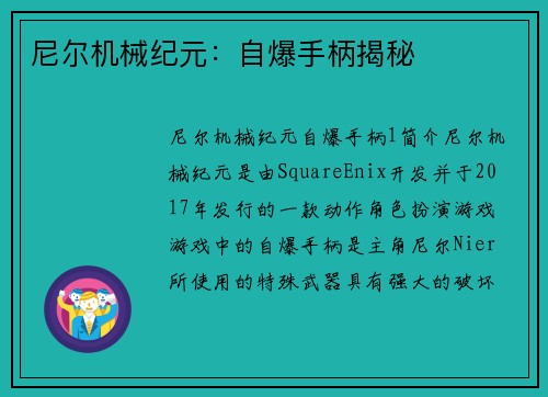 尼尔机械纪元：自爆手柄揭秘